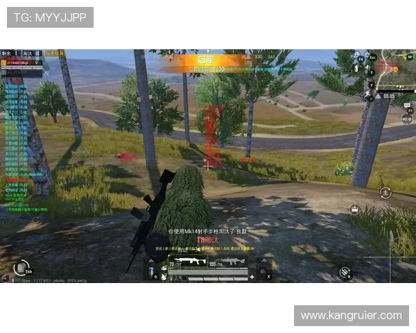 凯发官网平台丰富的游戏种类与高效的客户服务介绍